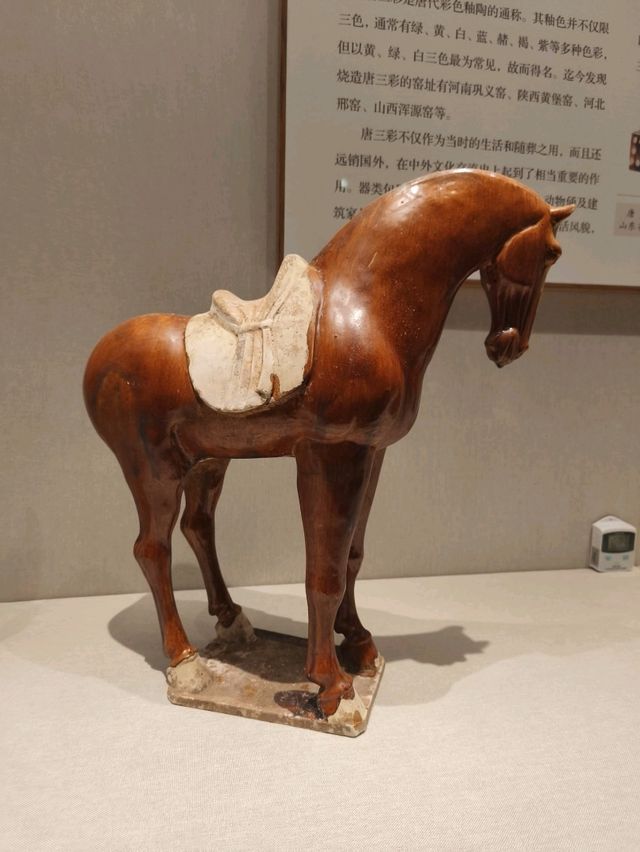 觀賞性甚高的深圳博物館