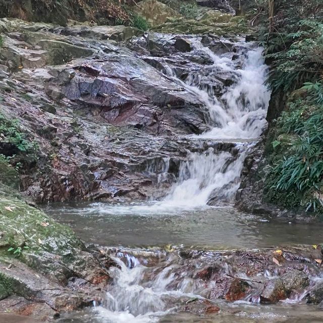 Aburayama Shimin-no-Mori (油山市民の森)