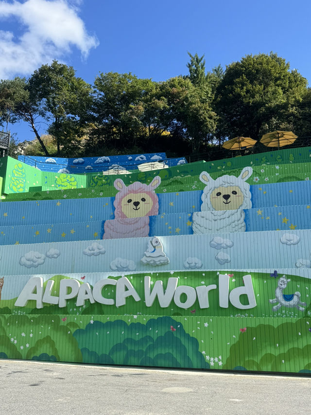 Alpaca World @ Korea