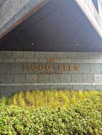 Tian An 1000 Trees @ Shanghai