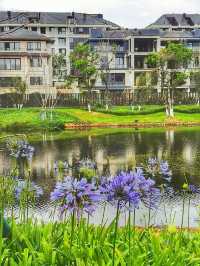 📍昆明市東海岸濕地公園