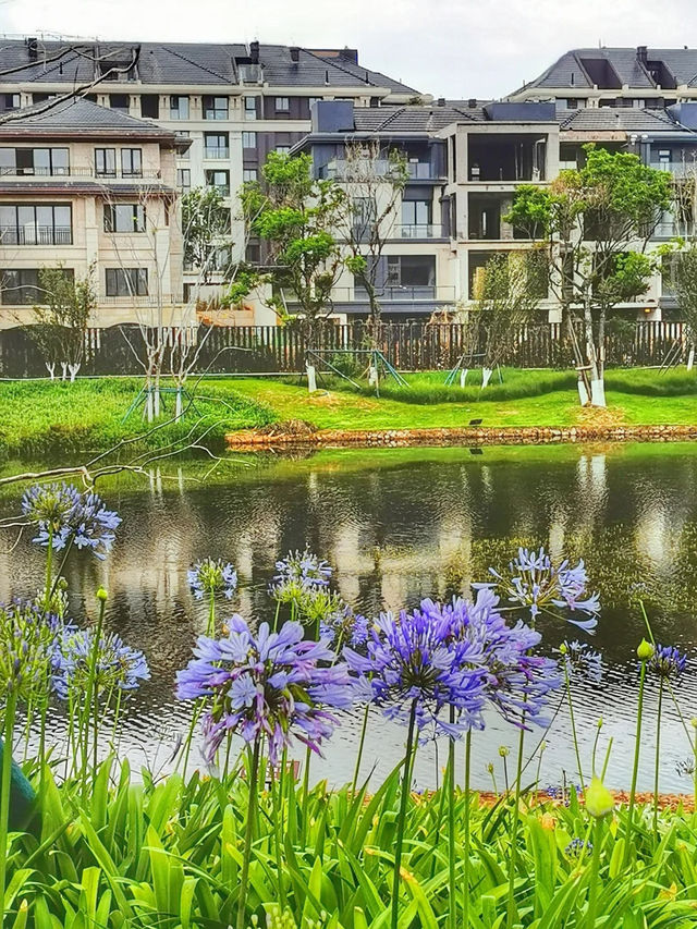 📍昆明市東海岸濕地公園