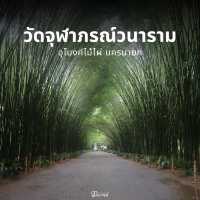 ถ่ายรูปที่อุโมงค์ป่าไผ่ นครนายก