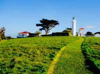 Spring into Nature - Tiritirti Matangi Island