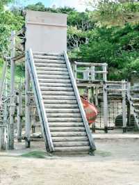 🌸 **沖繩伊祖公園櫻花觀賞遊覽分享** 🌸