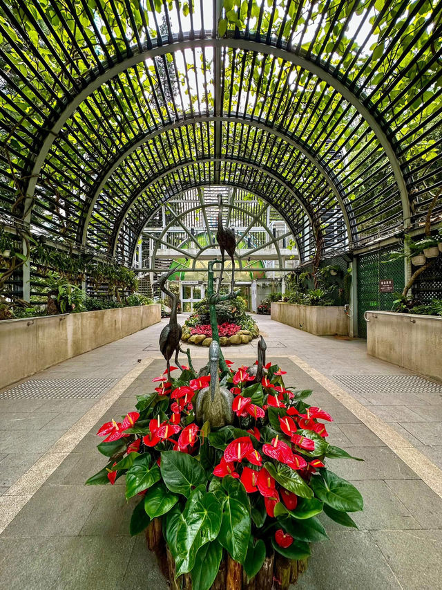 Hong Kong Zoological & Botanical Gardens: A Green Oasis in the City Hong Kong Zoological & Botanical Gardens: A Green Oasis in the City