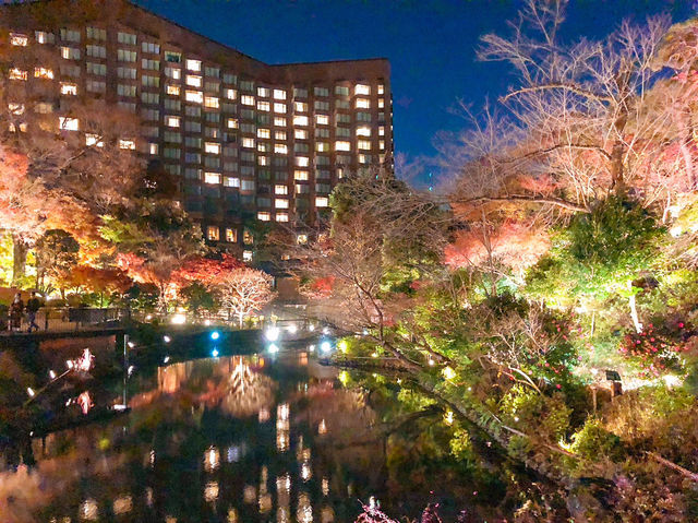 【東京】広大な日本庭園で雲海を堪能できるホテル