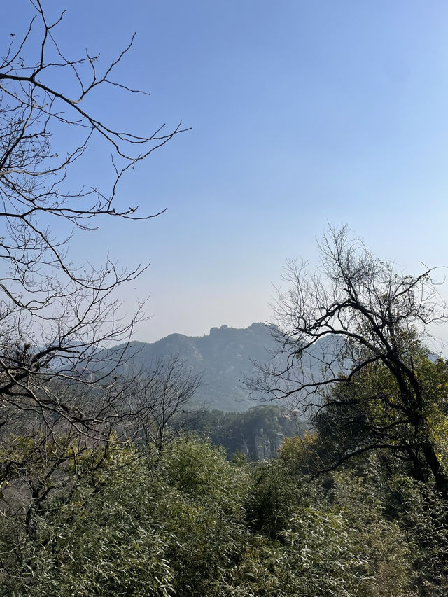 칭다오, 맥주말고 자연에 취해보실래요? 라오산 여행기