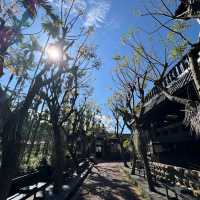 水里蛇窯櫻花園