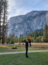 Yosemite: A Year-Round Wonderland, Day and Night!