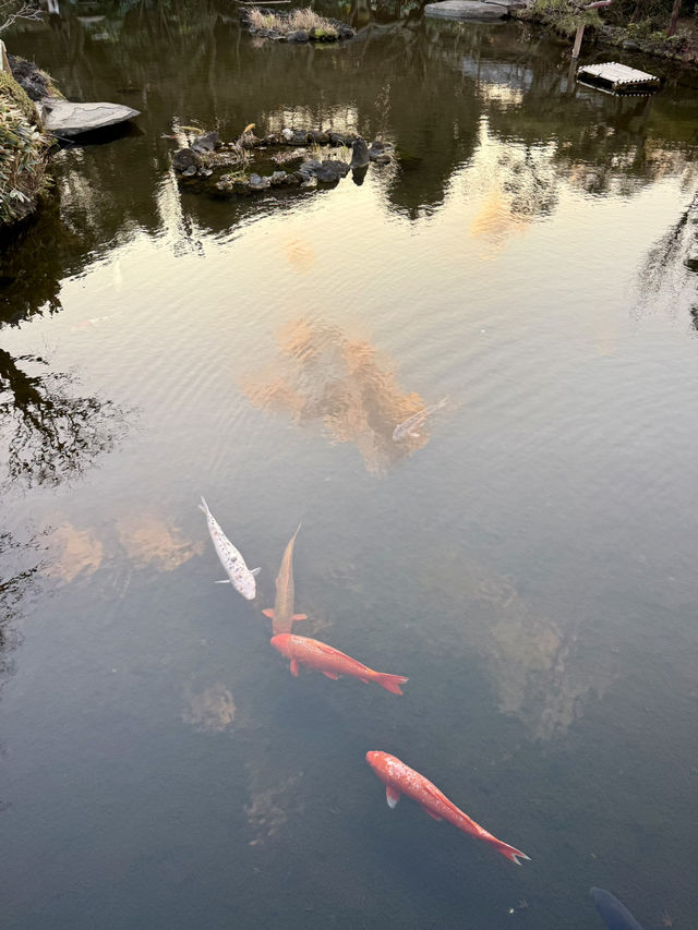 Spring at Hotel New Otani Tokyo🍃