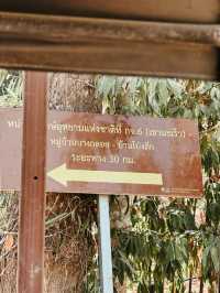ย้อนเวลาไปโป่งลึก แก่งกระจาน