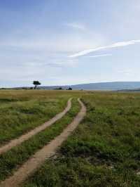 Game Drive in Masai Mara: A Perfect Spring Adventure