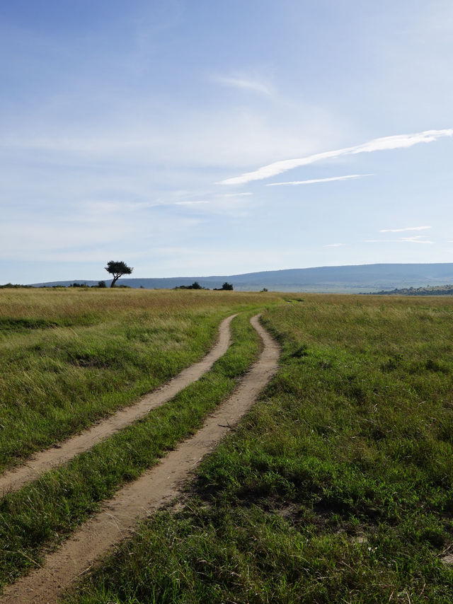 Game Drive in Masai Mara: A Perfect Spring Adventure