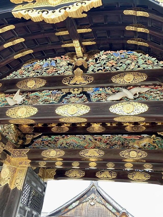 Spring at Nijo Castle: A Cherry Blossom Wonderland