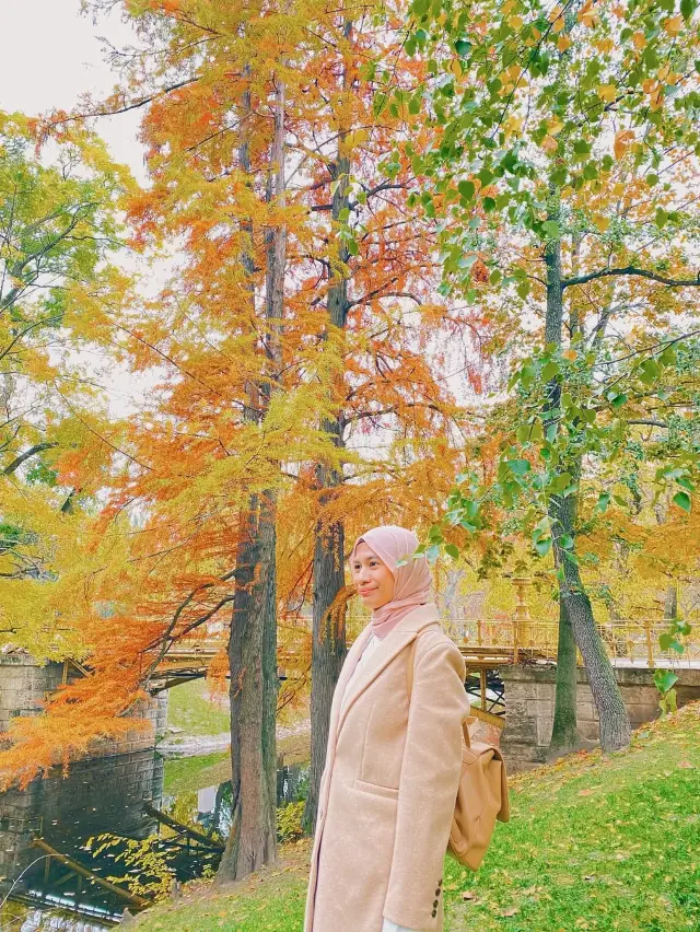 Amusement park and a castle in Budapest?🎢🎡