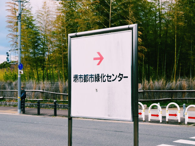 都会に息づく、緑と花のオアシス🌷🌺🌼🌸