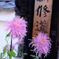 Kyoto không đông đúc - Enkouji Temple