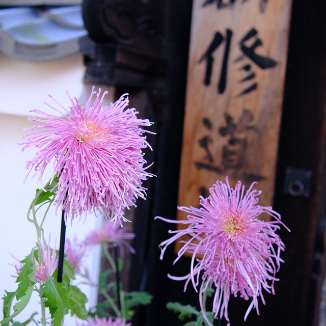 Kyoto không đông đúc - Enkouji Temple