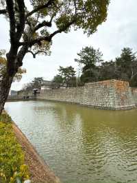 【丸亀】日本一高く美しい石垣⭐️現存の名城✨