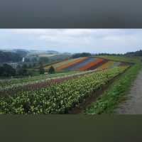 美瑛（Biei, 北海道）– 丘と空の芸術が広がるフォトジェニックな町