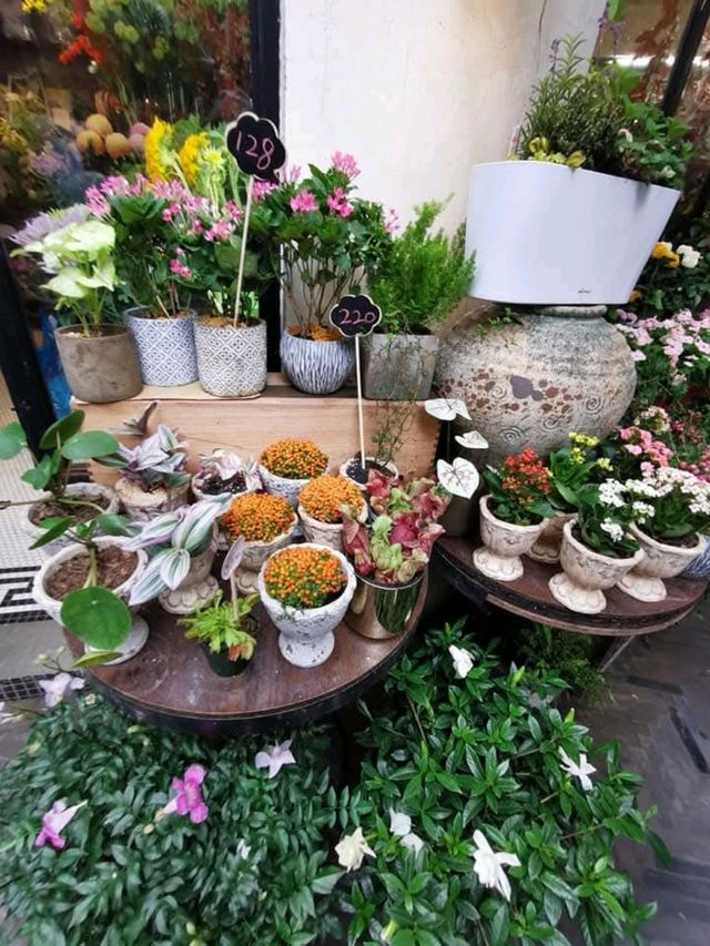 A Cozy Retreat at Drops Café, Wu Kang Lu, Shanghai