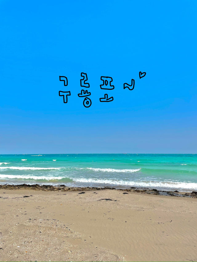 낭만 최고, 포항 바다 여행🦋🌊