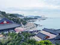 【ひとり旅でも満喫】2泊3日で楽しむ春の釜山🌸✈️