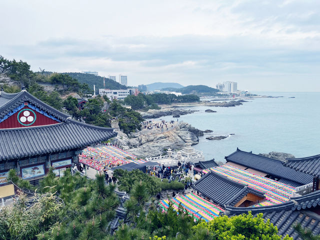 【ひとり旅でも満喫】2泊3日で楽しむ春の釜山🌸✈️