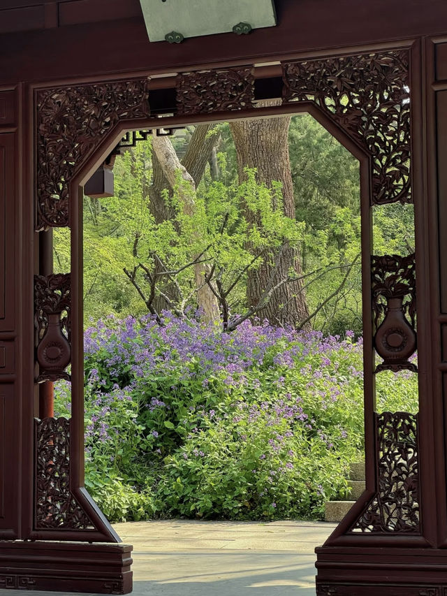 Exploring Spring at Tiger Hill in Suzhou – A Next-Level Spring Experience 🌸