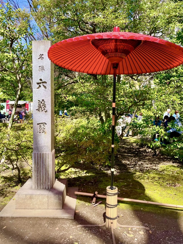 Spring Stroll at Rikugien Garden
