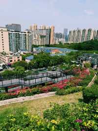 中國深圳著名網紅公園景點：玉龍公園，適合打卡📸