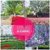 Spring @ Kunming