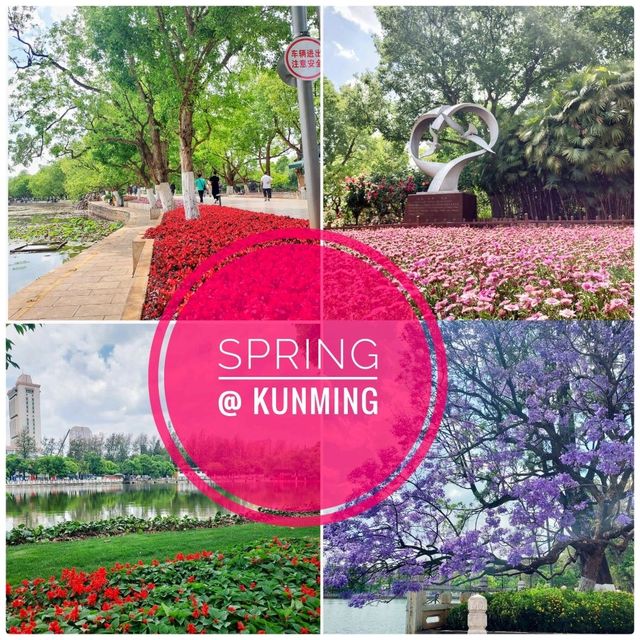 Spring @ Kunming