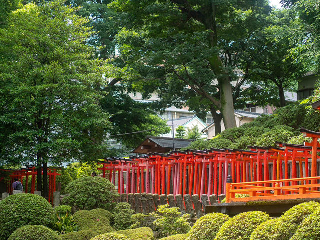 彩り豊かな境内を切り取る、根津神社スナップ📷💫