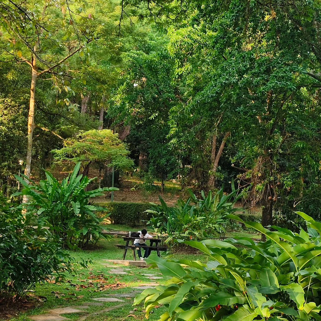 裕廊湖花園•熱帶奇花異卉