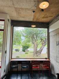  Verdurous House – คาเฟ่เขียวๆ ใจกลางพัทลุง