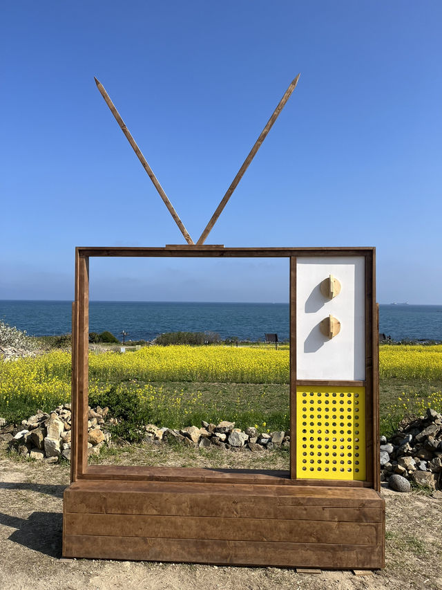 울산 숨은 꽃놀이스팟