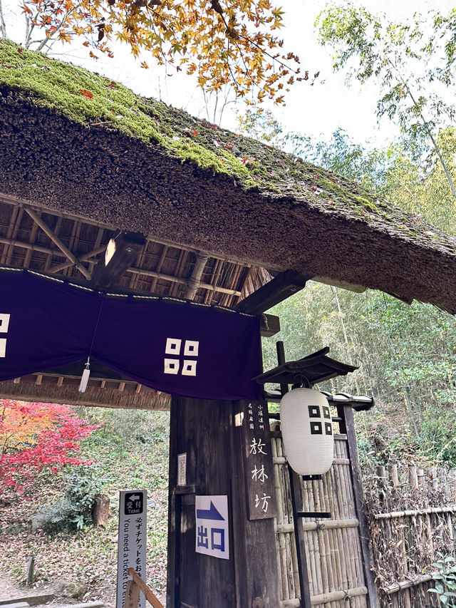 【滋賀県】近江八幡で紅葉がオススメな場所