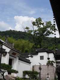 Golden Ginkgo and Ancient Walls