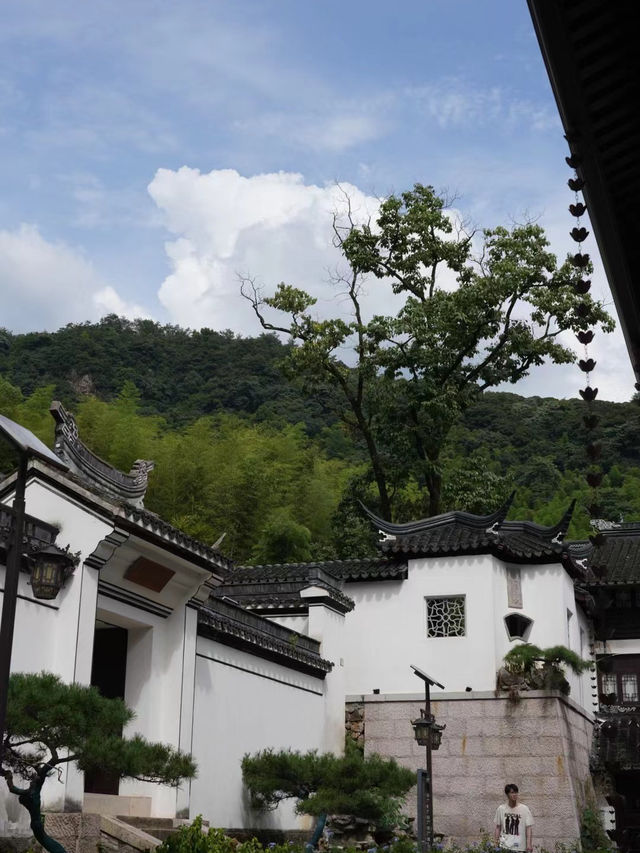 Golden Ginkgo and Ancient Walls