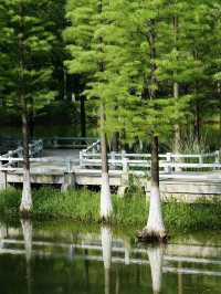 Great photography spot in Suzhou