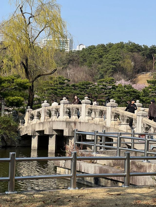봄날씨 분당 가볼만한 곳