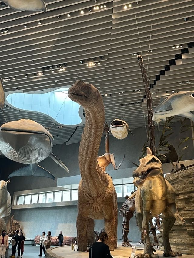 Shanghai Natural History Museum – A Journey Through Earth’s Wonders