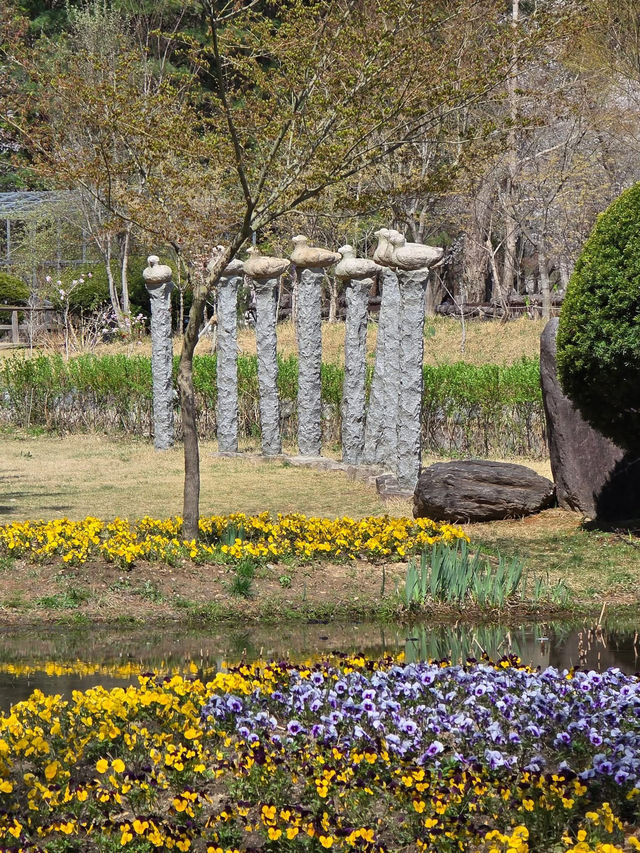 Chasing Cherry Blossoms: The Magic of Nami Island