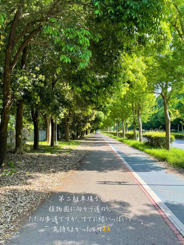 無料で入園できる日がある！？つくば植物園🌱