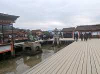 【広島】嚴島神社で海に浮かぶ鳥居を見る！