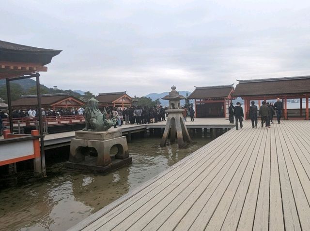 【広島】嚴島神社で海に浮かぶ鳥居を見る！