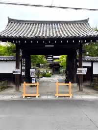 |京都南禅寺|徳川家康ゆかりの東照宮がある金地院
