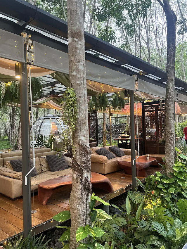 Luxury Meets Nature at Timber Society – Private Pool Glamping, Phuket